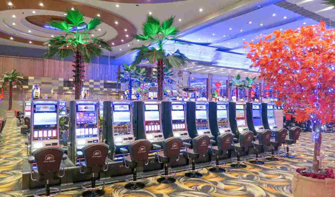 Star Vegas Casino luôn là làn gió mới lạ cho du khách