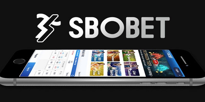 App Sbobet giúp người chơi tiếp cận dễ dàng